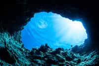 La plus grande grotte sous-marine du monde a été découverte au Mexique. Ici, une grotte sous-marine. Plus de 358 systèmes sont connus dans l’État de Quintana Roo, au Mexique. © divedog, Fotolia