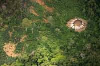 Vue aérienne de la structure circulaire où vivent les Moxihatetema, dans la réserve Yanomami au nord du Brésil. © Guilherme Gnipper Trevisan, Hutukara, Survival
