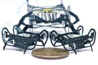 HAMR-Jr est un microrobot créé par des chercheurs de l’université de Harvard, capable d’avancer à 14 fois la longueur de son corps par seconde © Harvard