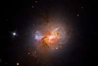 La galaxie d'étoiles naines Henize 2-10 scintille avec de jeunes étoiles dans cette image en lumière visible prise par Hubble. La région brillante au centre, entourée de nuages ​​roses et de bandes de poussière sombres, indique l'emplacement du trou noir supermassif de la galaxie et des pépinières stellaires actives.&nbsp;© Nasa, ESA, Zachary Schutte (XGI), Amy Reines (XGI) Traitement d'image : Alyssa Pagan (STScI)