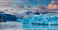 Le glacier Hubbard, en Alaska, est plus grand de nos jours qu'en 1890. © dbvirago, Adobe Stock