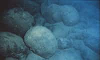 Les dorsales océaniques désignent des chaînes de montagne sous-marines. Elles parcourent tous les bassins océaniques et jouent un rôle important dans la tectonique des plaques. © Wikipedia