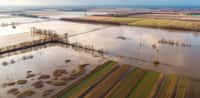 La campagne inondée. © Poter, Adobe Stock