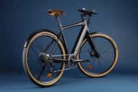 Le Vélo Mad Sport 2 est disponible en noir et gris. © Le Vélo Mad