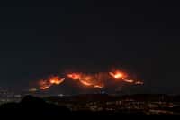 Découvrez trois bâtiments emblématiques de Los Angeles, calcinés par les incendies. © Neil, Adobe Stock