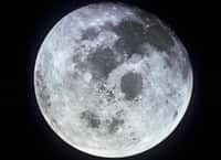 La lune photographiée depuis le vaisseau spatial Apollo 11. © Nasa