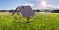 Découvrez le coût moyen de l'investissement pour la construction d'une maison écologique et les avantages de ce type d'habitat.&nbsp;© Wolfilser, Adobe Stock