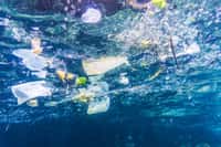 Chaque année, plus de 10 millions de tonnes de plastique sont rejetés dans les océans. © Placebo 365, iStock Photo