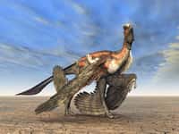 Le fossile du microraptor contenait un pied fossilisé de mammifère. © Michael Rosskothen, Adobe Stock