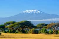 Une fois le pic Uhuru atteint, votre ascension du Kilimandjaro passera par la voie Mweka, idéale pour la descente. © byrdyak, fotolia