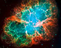 La nébuleuse du crabe, un nuage de débris en expansion de six années-lumière de diamètre provenant d'une explosion de supernova, héberge une étoile à neutrons tournant sur elle-même 30 fois par seconde  et qui fait partie des pulsars les plus brillants du ciel aux longueurs d'onde des rayons X et radio. Cette composition d'images du télescope spatial Hubble révèle différents gaz expulsés lors de l'explosion: le bleu révèle l'oxygène neutre, le vert montre le soufre mono-ionisé et le rouge indique l'oxygène doublement ionisé. © Nasa, ESA, J. Hester et A. Loll (Arizona State University)