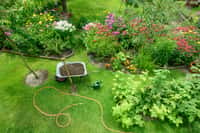 Que de choses à faire au jardin avant de partir en vacances. © schulzie, AdobeStock