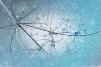 À première vue, un neurone ne ressemble pas vraiment à un lymphocyte… © vitstudio, Fotolia