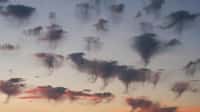 Les nuages méduses peuvent se présenter en bancs dans le ciel, comme les animaux marins gélatineux dans la mer. © EdBennettPhotography, Adobe Stock