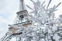 Cela fait 56 ans qu'il n'y a pas eu autant de neige à Paris en novembre ! © Ekaterina Pokrovsky, Adobe Stock