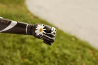 Pollinisation artificielle : des robots pour polliniser les fleurs ?