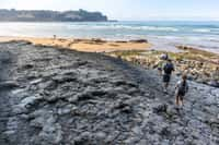 La plage de La Griega en Espagne est célèbre pour ces immenses empreintes de dinosaures. © Alba, Adobe Stock