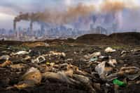 Les pays les moins pollueurs sont ceux dont les populations risquent le plus de mourir à cause du changement climatique. © 24Novembers, Adobe Stock