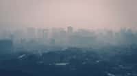 Avec la hausse des températures et la pollution atmosphérique, les villes vont devenir étouffantes.&nbsp;© ttlsc, Adobe Stock