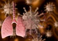 Un récepteur naturellement exprimé dans les poumons empêcherait l’infection par le SARS-CoV-2. © AGPhotography, Adobe Stock