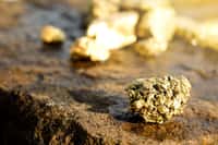 Les pépites d'or ont été et sont encore très recherchées. © Phawat, fotolia