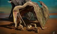 Des œufs de ptérosaures ont été découverts en Chine. Le ptérosaure (Hamipterus tianshanensis) est ici magnifiquement représenté, avec une crête sur le sommet de la partie avant du crâne. L'un est un mâle et l'autre une femelle, protégeant sa couvée. Une scène possible de la vie au Crétacé inférieur. © Chuang Zhao