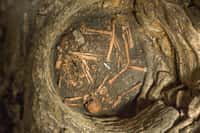 Cette photographie a été prise sur&nbsp;le site de&nbsp;fouilles archéologiques d'Entrains-sur-Nohain. Elle montre une vue générale d’une passe de décapage avec les vestiges humains qui ont été mis au jour.&nbsp;© Captair