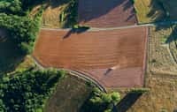 Le pédologue est notamment sollicité par les agriculteurs afin de savoir si la terre qu'ils souhaitent cultiver est fertile ou non. © Nicolaspetitfrère, Adobe Stock.