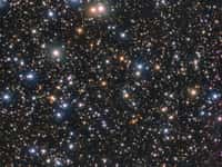 Une section de la constellation de la Croix du Sud, qui comprend des étoiles de tous âges. ©&nbsp;ESO