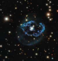 Une petite étoile finit généralement sa vie en naine blanche&nbsp;lorsqu’elle a consumé tout son hydrogène et son hélium. Ici, la constellation du cygne. © ESA