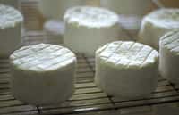 Les fromages frais, de vache ou de chèvre, sont les plus facile à fabriquer chez soi. © FOOD-micro, Fotolia