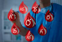 Il existe huit groupes sanguins fondés sur les systèmes ABO et Rhésus. © Cherries, Adobe Stock