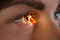 La recherche sur l’œil a fait des progrès considérables ces dernières années. © Анна Ковальчук, Adobe Stock