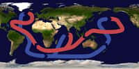 La circulation océanique thermohaline est actionnée par la différence de densité des eaux au niveau du Groenland. La plongée des eaux qui s’ensuit est le moteur du tapis roulant océanique. © Brisbane, Wikimédia CC-by-sa 3.0