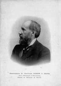Ramon y Cajal est l'un des pionniers des neurosciences, en mettant en évidence la théorie du neurone. ©&nbsp;Domenico Forastiere, Wikimedia
