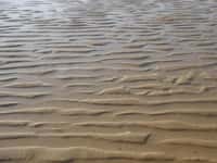 Plage de sable ridé à marée basse. © Heurtelions, Wikimédia CC by-sa 3.0