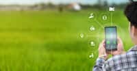 Les innovations technologiques investissent aussi les champs et profitent à des agriculteurs soucieux de s’intégrer dans un modèle de développement durable. © sodawhiskey, Adobe Stock