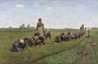 Désherbage du lin en Flandre (1887), Emile Claus, Royal Museum of Fine Arts Antwerp,  Wikimédia Commons, Domaine public