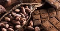 Comme pour le vin, la qualité d’un cacao dépend de nombreux paramètres. © Sébastian Duda, Adobe Stock