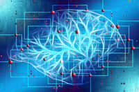 Une nouvelle interface cerveau-machine permet d’effectuer des tâches complexes grâce à des bras robotiques semi-autonomes. © Gerd Altmann, Pixabay