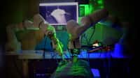 Ce robot a réussi à joindre deux morceaux d’intestin sans être guidé par un humain. © Université Johns-Hopkins