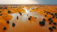 Cela fait plusieurs dizaines d'années que le Sahara n'a pas reçu autant de pluie. Image d'illustration. © LEDINH, Adobe Stock