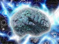 L’électrostimulation permet une meilleure plasticité cérébrale, d’où une amélioration de la mémoire et des apprentissages. © polygraphus, Shutterstock