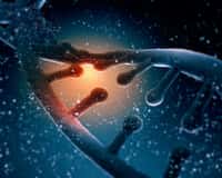 La séparation de l’ADN prenait jusqu’à présent plusieurs heures. Avec cette innovation, elle pourrait se faire en seulement 10 mn. © Sergey Nivens, Shutterstock