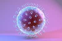 Le virus de l’hépatite C cause des infections aiguës et chroniques du foie, qui peuvent évoluer en cirrhose ou en cancer du foie. © Kateryna Kon, Shutterstock
