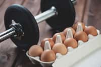 Les œufs sont une bonne source de protéines animales. Ils permettent ainsi de prendre du muscle. © Nickola_Che, Shutterstock