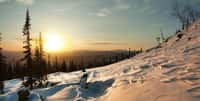 Aux origines de Noël, il y a le solstice d'hiver… Ici, lever du Soleil en hiver. © Dmitry A. Mottl, Wikimedia Commons