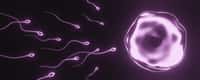 La protéine « MC2 » permet de connecter la tête du spermatozoïde à son flagelle afin qu'il puisse coordonner ses mouvements lorsqu'il se déplace. © Kavik