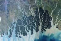 Le delta du Gange, vu ici de l'espace par le satellite Landsat 7 de la Nasa, est le plus grand delta du monde moderne si on omet l'embouchure de l'Amazone, où un véritable delta ne peut en pratique pas se former. © Nasa, Jesse Allen, Earth Observatory, University of Maryland’s Global Land Cover Facility, DP