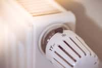 Le thermostat a fait sa révolution. © Patrick Daxenbichler, Adobe Stock